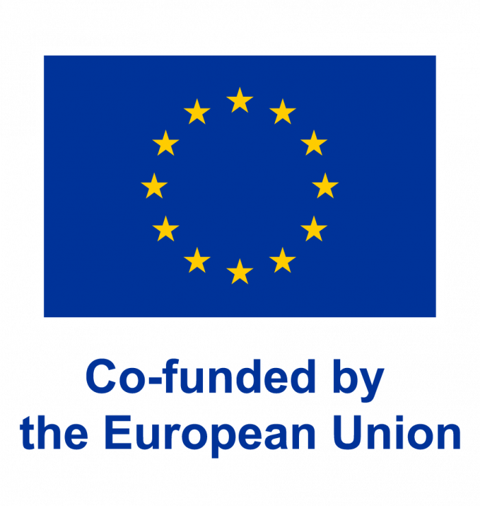 European Union flag with text co-funded by the European Union 