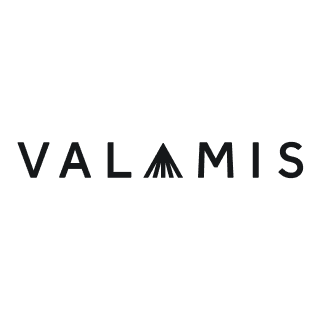 Valamis logo