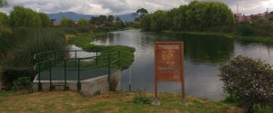 An ecologically restored urban wetland by a collective effort in Bogotá. Photo: Germán A. Quimbayo Ruiz.