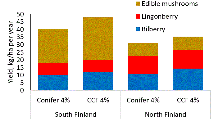Bilberry and mushroom yields are higher in CCF than in even-aged conifer-oriented management