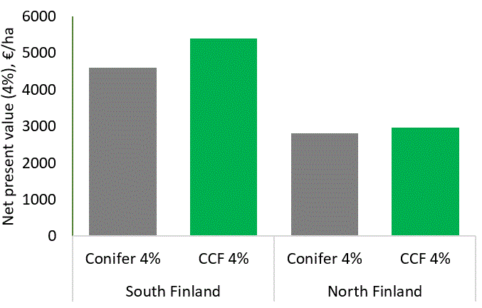 The net present value, calculated with a 4% discount rate, is higher for CCF than for conifer-oriented rotation forestry