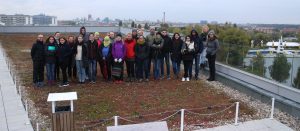 People on top of a green roof.