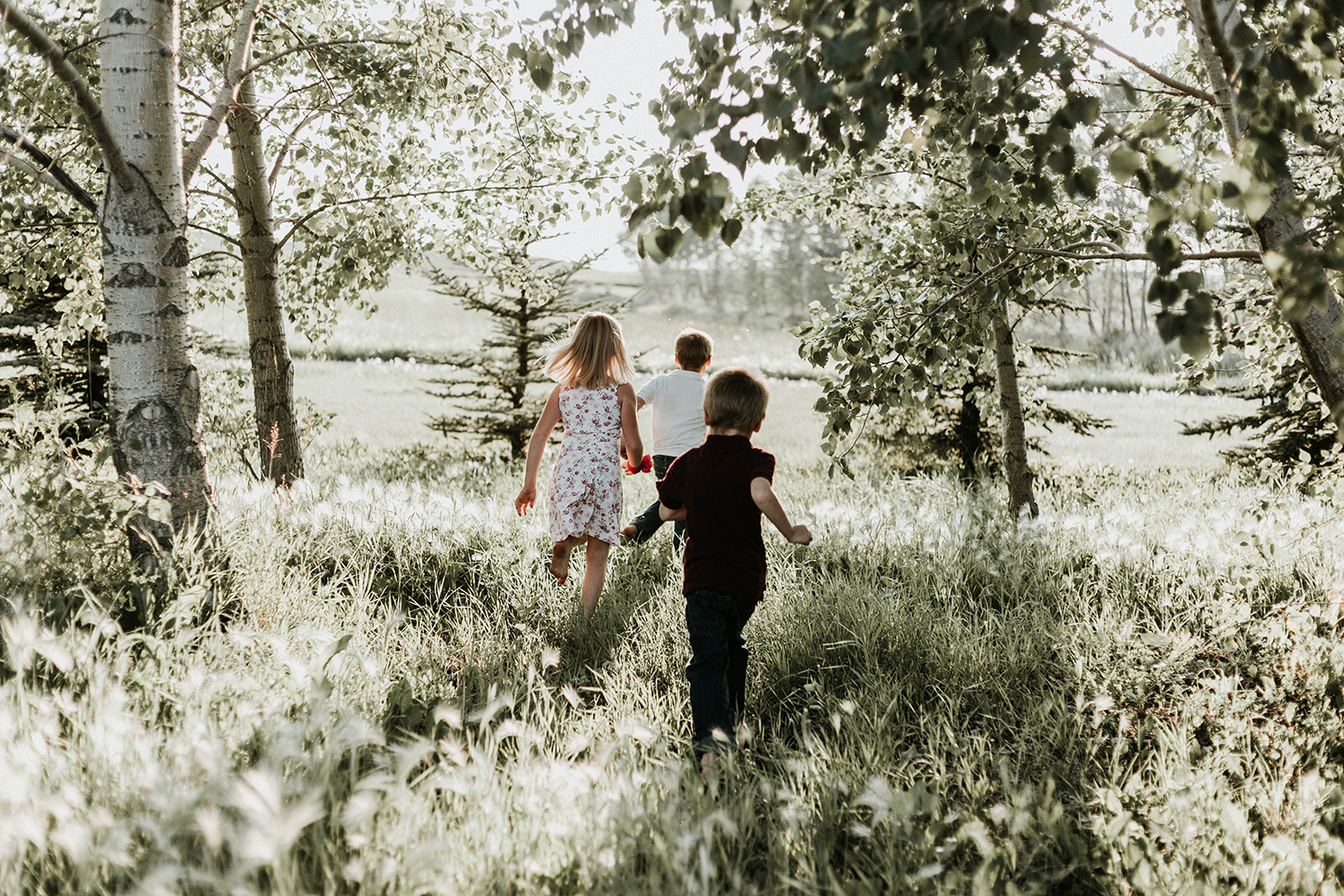 Children running in a sunny forest.