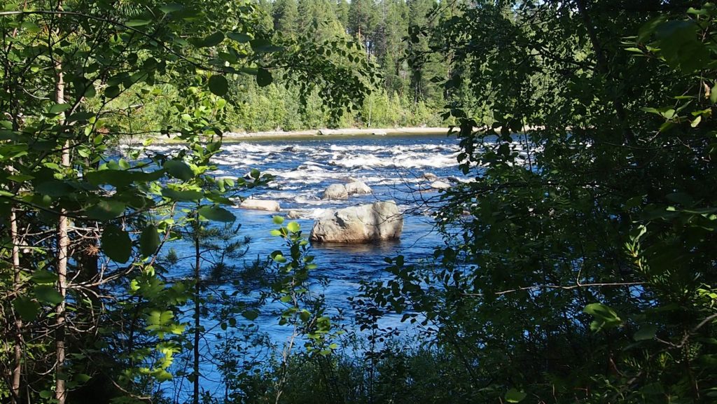 Kemijoki. Koski. Vienan Karjala.