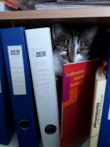 Kissa kirjahyllyllä