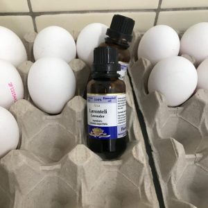 Kananmunakenno, jonka tyhjään kohtaan on laitettu pullo laventelinväristä väriainetta