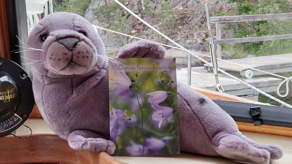 Norppapehmolelu ja kortti, jossa on kukkien kuvia