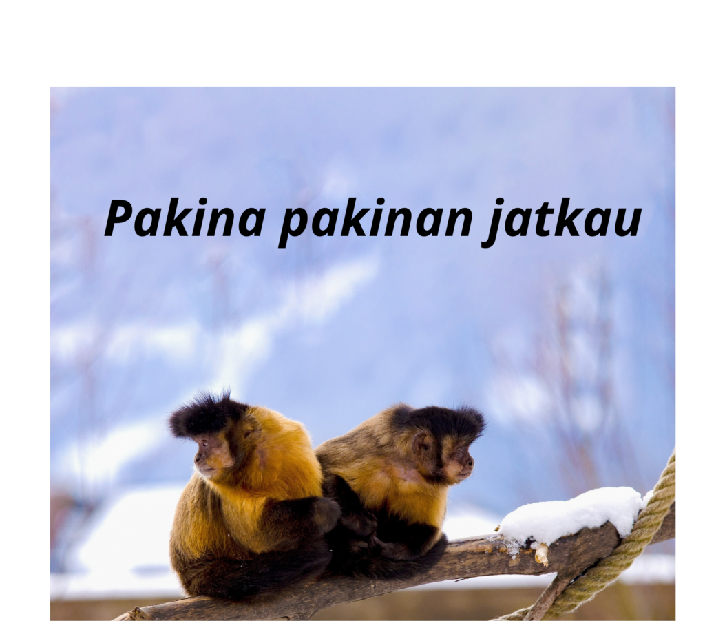 Kaksi apinaa
