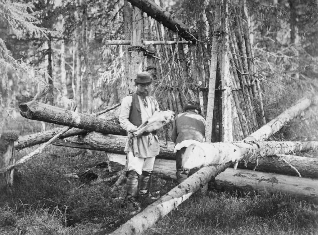 I.K. Inha, Vienan Karjala, Röhö