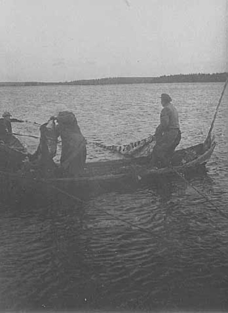 Nuottakalastusta Maaningalla 1920-luvulla