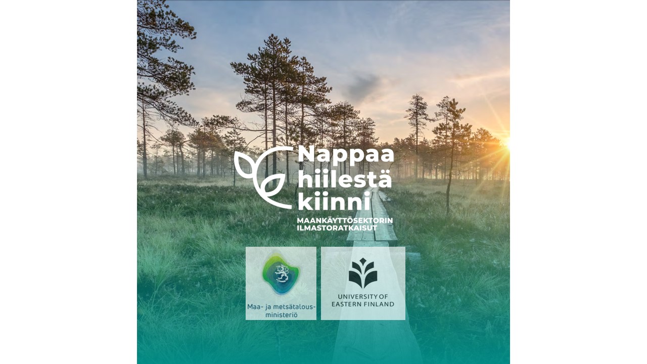 Turvahiili hankkeen logoteksti: Nappaa hiilestä kiinni