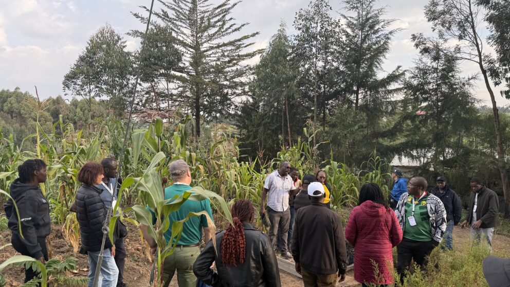 Conference participants learning about integrated forestry and food production on a smallholder farm near Engineer.