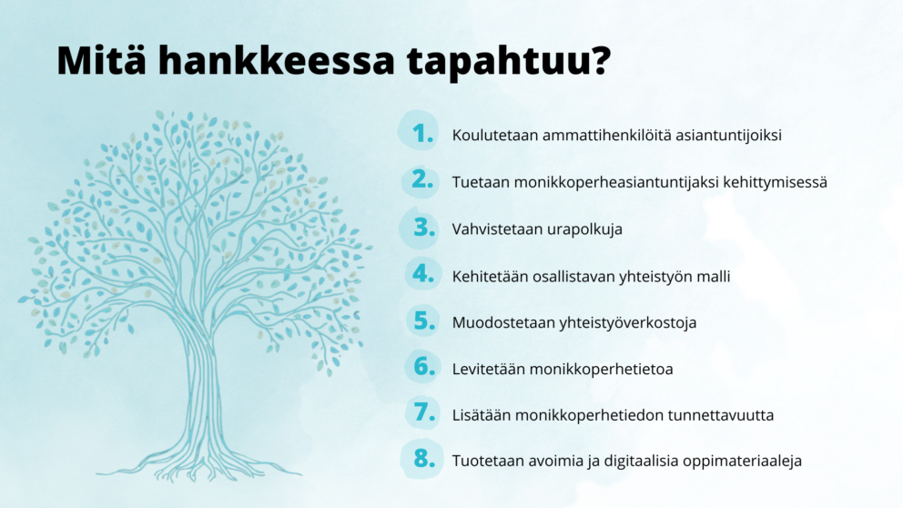 Mitä hankkeessa tapahtuu?