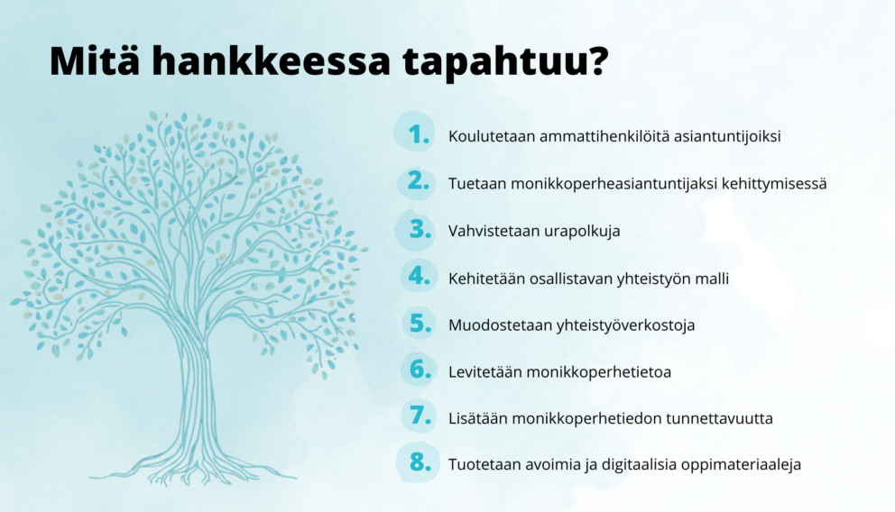 Mitä hankkeessa tapahtuu?