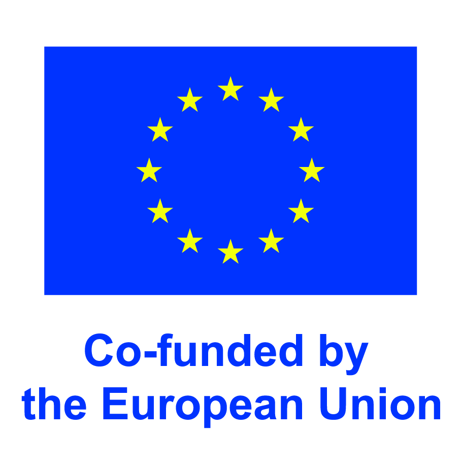 Co-funded by the European Union