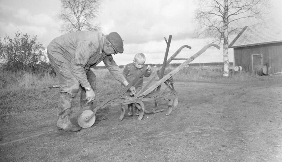 Voutilainen, E. 1963. Sokerijuurikkaan sadonkorjuu. Museovirasto CC BY 4.0