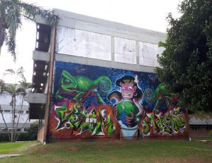 Campus, graffiti with indigenous topics.