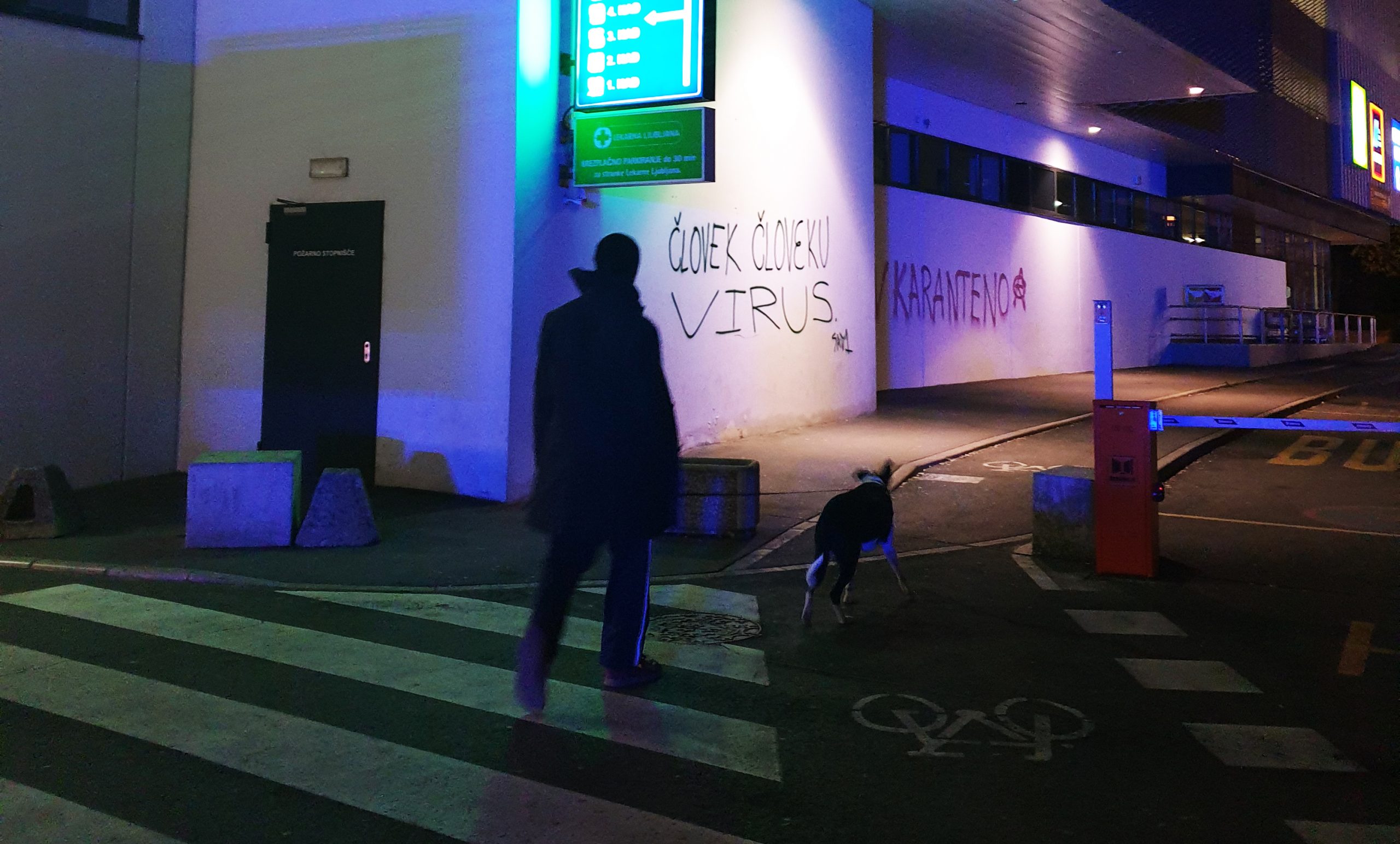 Walking the dog in Ljubljana; behind the graffiti Homo homini virus and Quarantine.