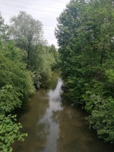 View from the bridge that crosses Gradaščica river with water, trees and bushes.