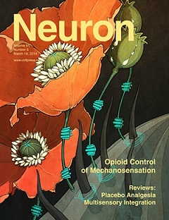 Lehti: Neuron.