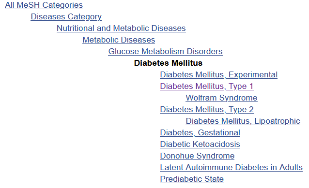 Sanastossa termit ovat puumaisesti. Esimerkkinä on diabetes mellitus -termi ja sen alatermit.