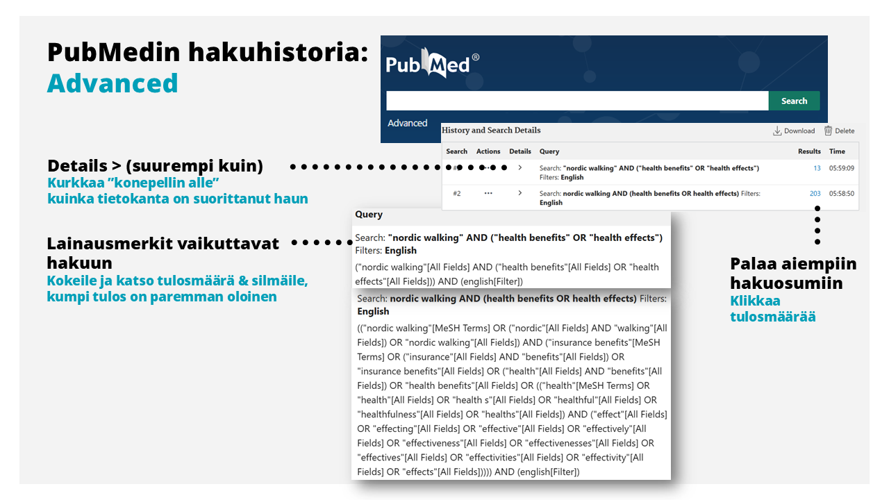 Infograafi, joka kertaa sivun sisältöä.