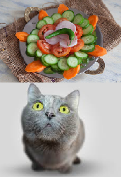 Kissa katsoo kasvislautasta.