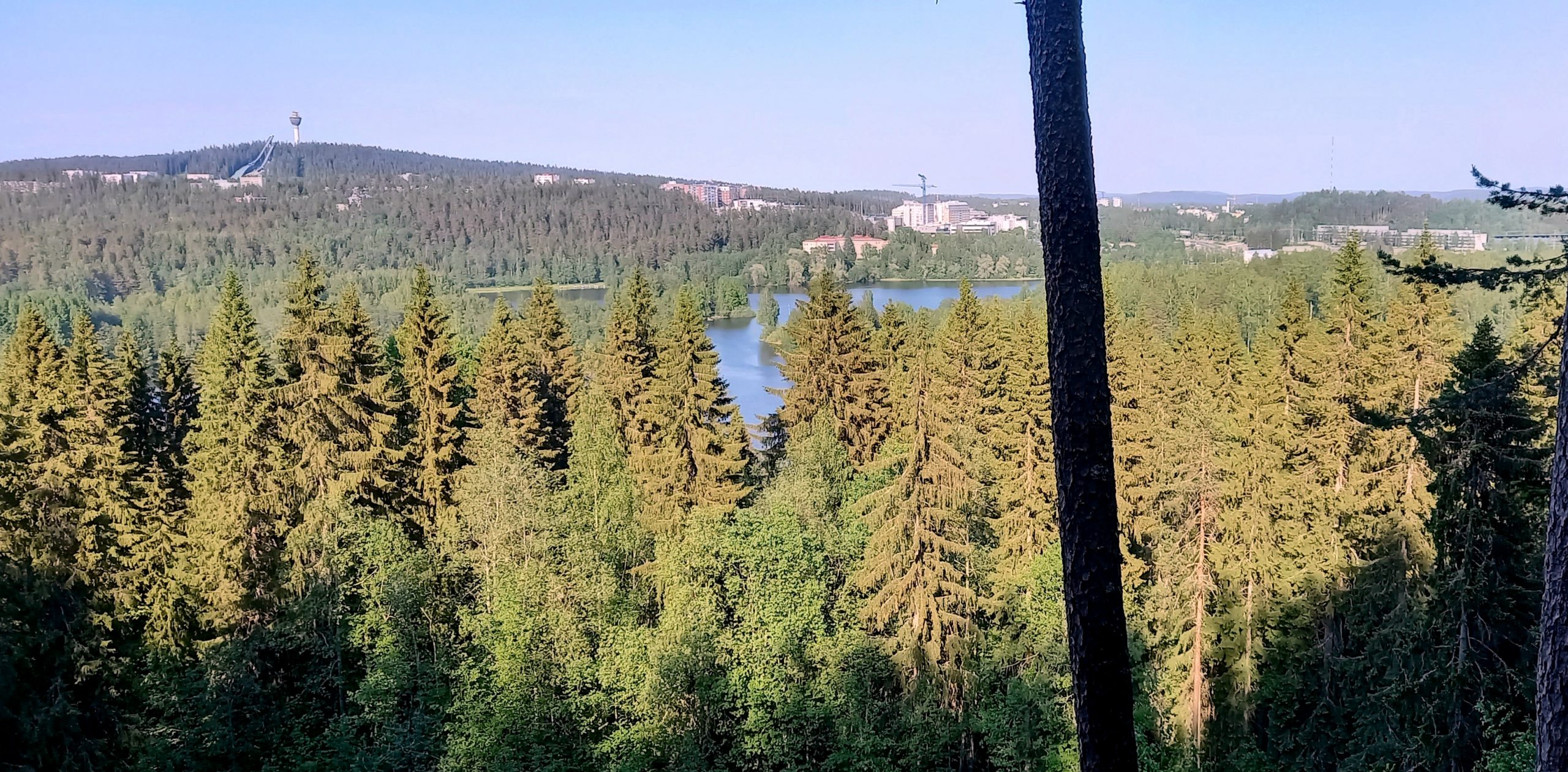 Maisemakuva Kuopiosta.