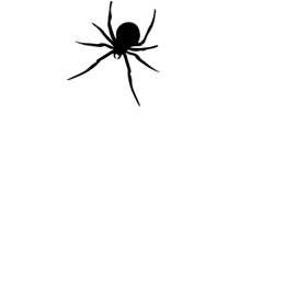 graphics-spiders-061430