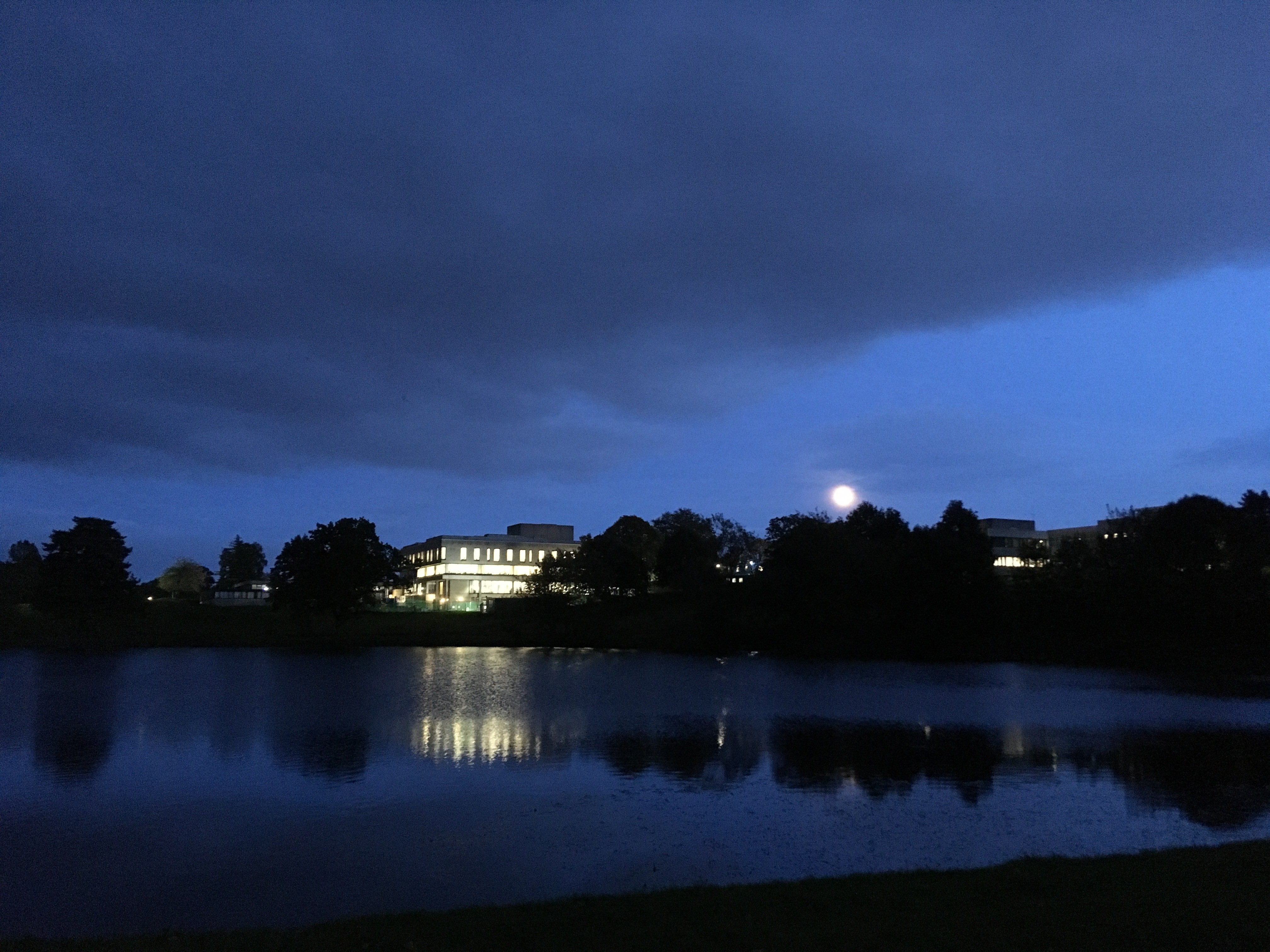 ilta, taivas, järvi, rakennus, kuu, valot, pilvet, puut. evening, sky, lake, clouds, building, lights, moon, trees