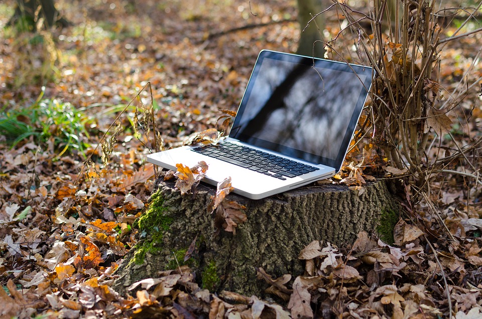 Syksyinen metsä. Kannettava tietokone kannon päällä. | Forest in autumn. Laptop on a tree stump.