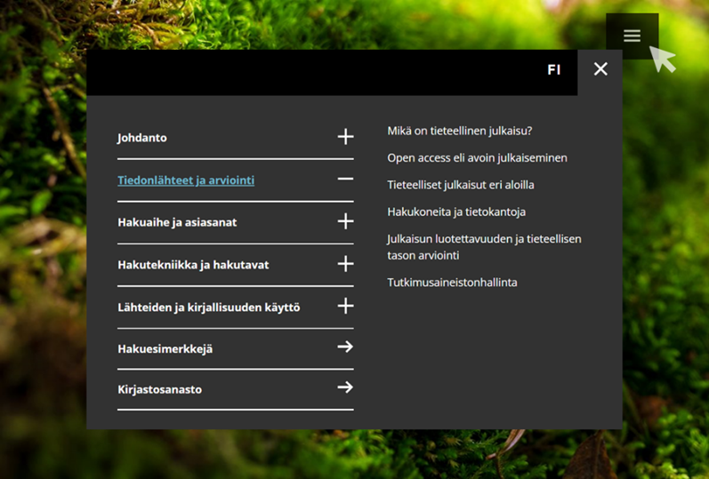 Kuvankaappaus Tiedonhakijan oppaan menuvalikosta.