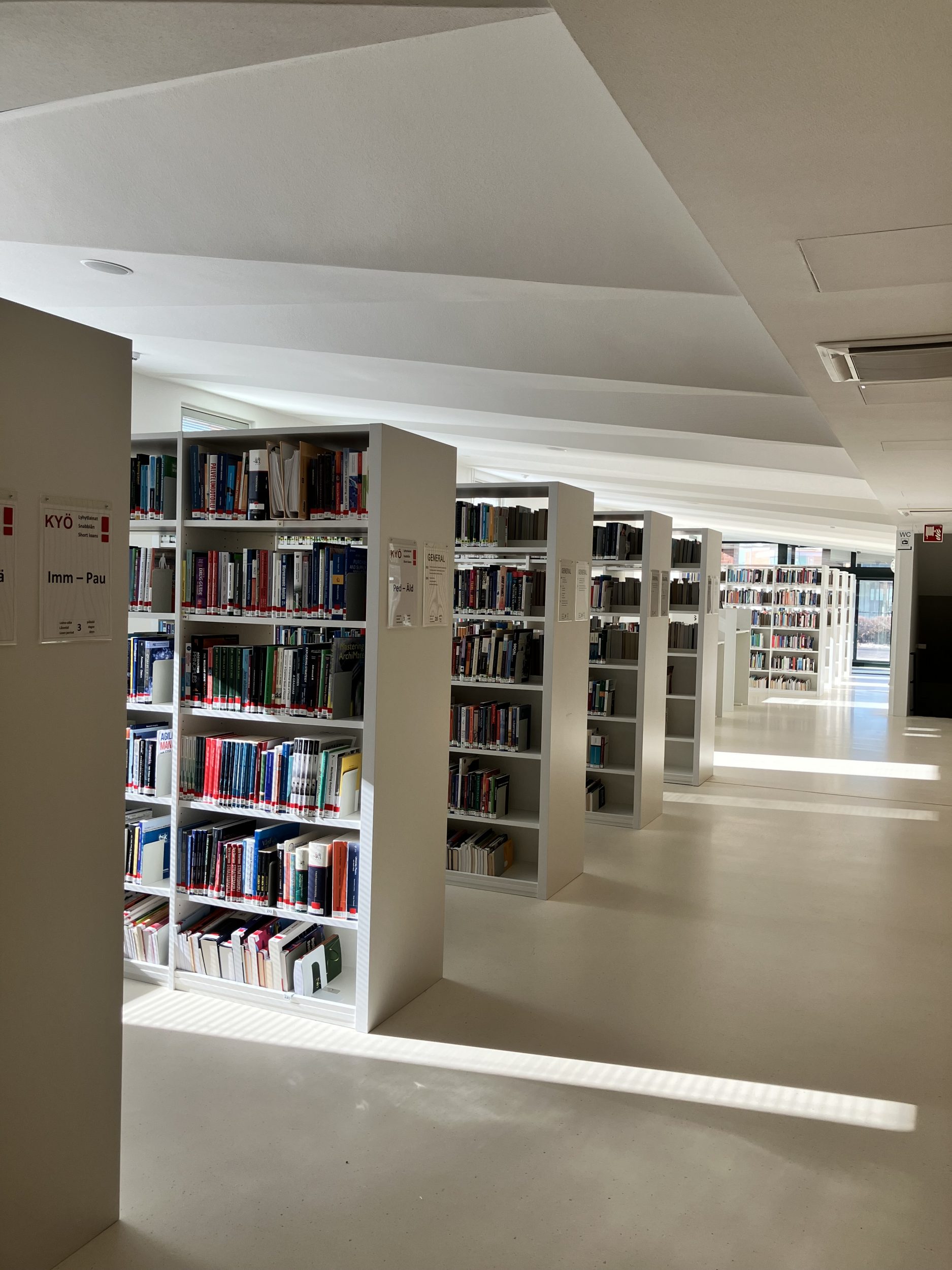 Kirjasto, kirjahyllyt, kirjat, katto. Library, book shelves, books, ceiling.