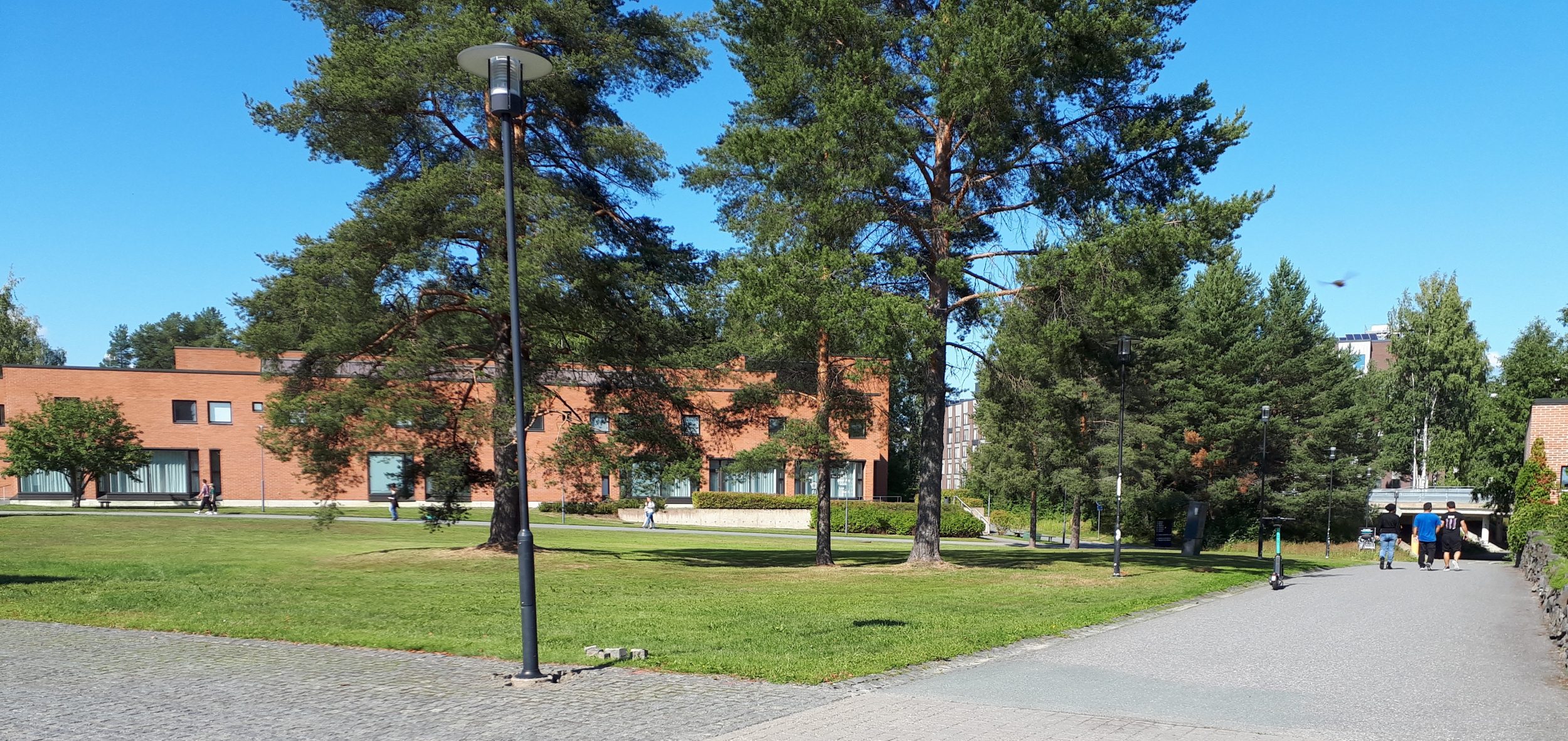 Näkymä Itä-Suomen yliopiston Joensuun kampukselta. | A view from the University of Eastern Finland, Joensuu Campus.