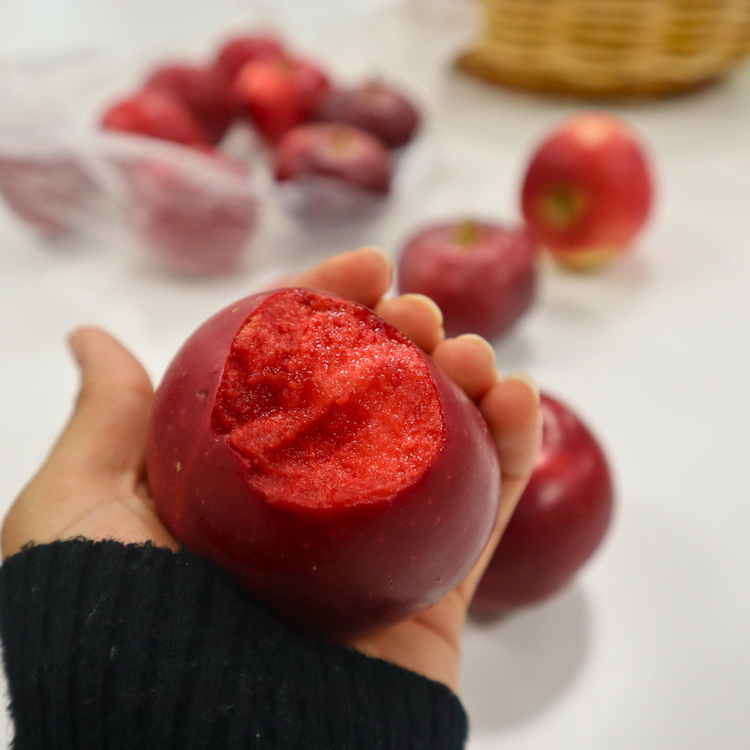 A hand holding a red apple with a bite taken out of it. Other apples are visible in the background. Käsi, joka pitelee punaista omenaa, josta on puraistu pala. Muut omenat näkyvät taustalla.