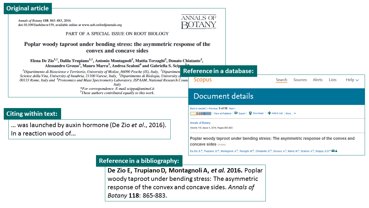 Four pictures showing the different forms of one publication. First picture: an original article in a journal. The second picture: the same article as a reference in a database. Third picture: short citation of the article within a text. Fourth picture: the same article as an reference in a bibliography of another publication. All, except the short citation within a text, contain the same metadata information.
