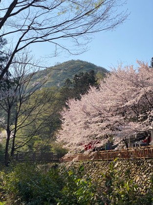 Etelä-Korean luonto- ja kaupunkimaisemia.